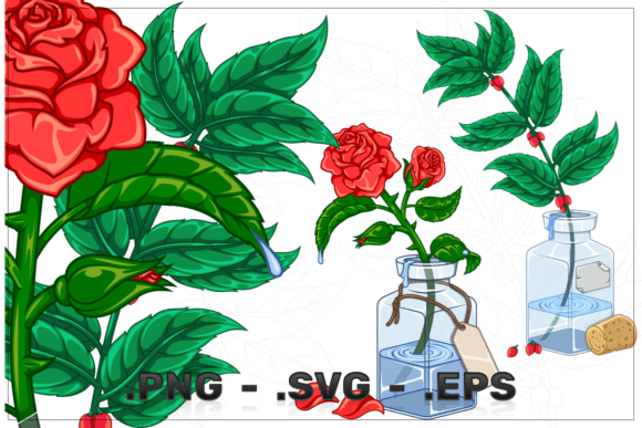 Infusing Nature's Elegance: The Glass Bottle with Decorative Plants Vector Art